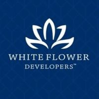 whiteflower01