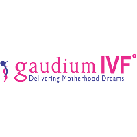 gaudiumivf12