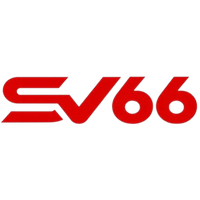 sv66voto