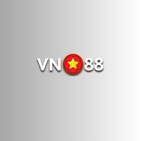 vn88sorg1