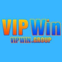 vipwingroup