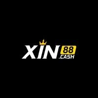 xin88cash