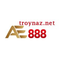 troynaznet