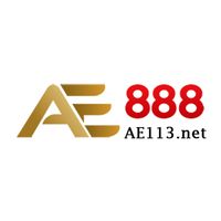 ae113net