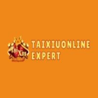 txonlineexpert