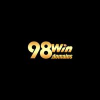 98windomains