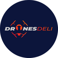 dronesdeli