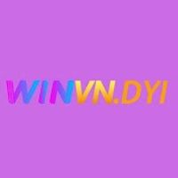 winvndiy