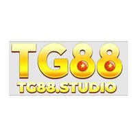 tg88studio