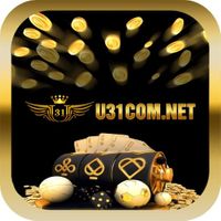 u31comnet