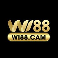 wi88cam