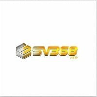 sv368ainfo1