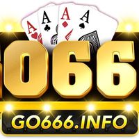 go666info