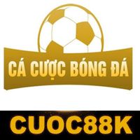 cacuocbongdainfo