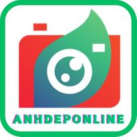 anhdeponline