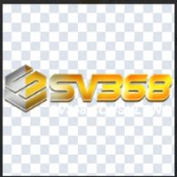 sv368consulting