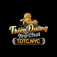 tdtcnyc