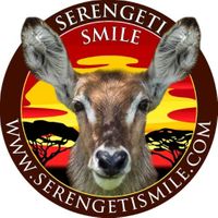 serengetismile