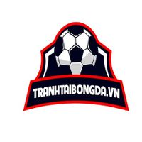 tranhtaibongdavn