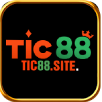 tic88site