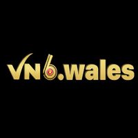 vn6wales