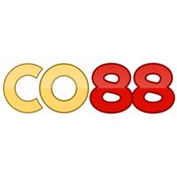 co88cam