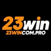 23wincompro1