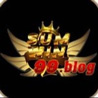 sumwin99blog